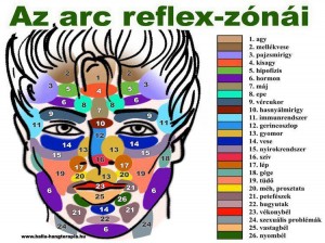 10413322_498008800332540_9052825171614167066_n